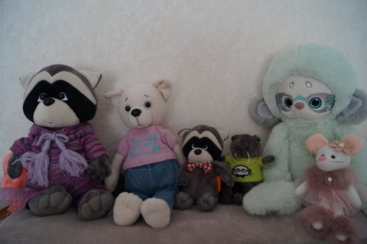 У Агаши много новеньких! Жители надкроватных полочек