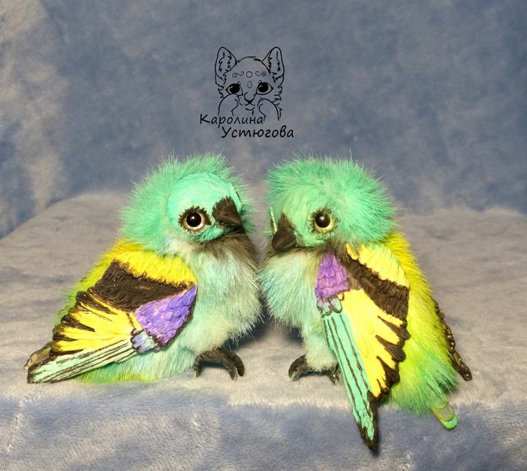 Зеленоголовая танагра, чудо птичка