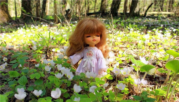 Путешествие Софи в Старицу. Lati HoneyBee New Mystic Sophie