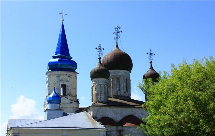 Иванишинская сосна — Культура