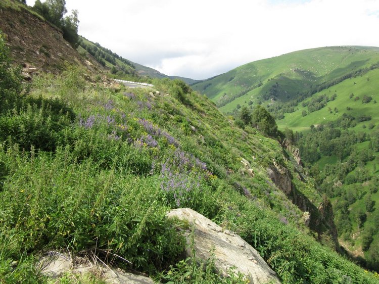 Джилы-Су в тумане — Туризм и путешествия: фотоотчеты из поездок