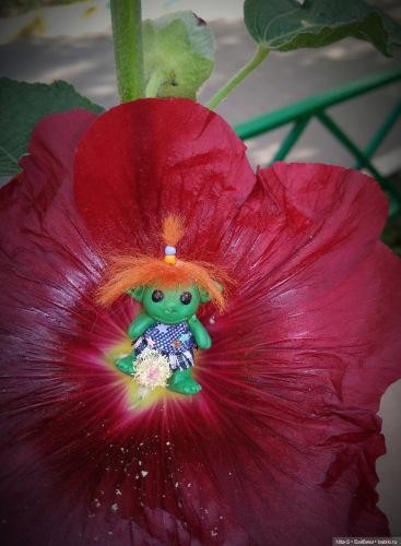 Гостиница для челотяпиков (фото 5)