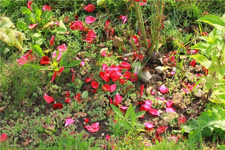 Сентябрьское путешествие в Старицу. Старицкий Свято-Успенский Монастырь