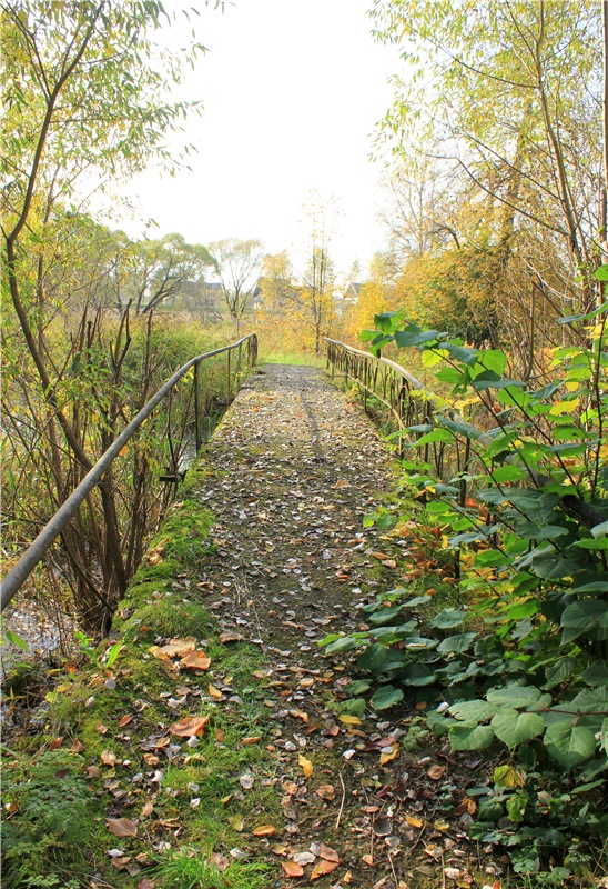 Путешествие Dal Hangry в Грузины