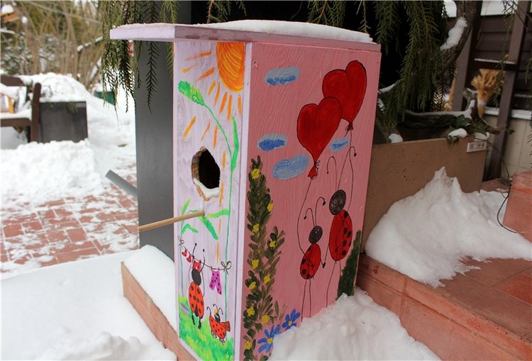 Тверской Ботанический Сад, заключительная часть