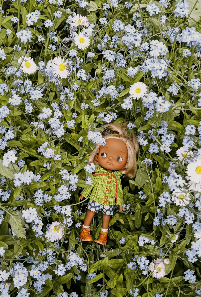 Holala Pipita Peter — Куклы Holala (Холала) от Jenny Fairytown: Pipita (фото 3)