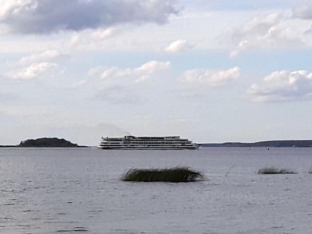 Большое путешествие маленького Басика