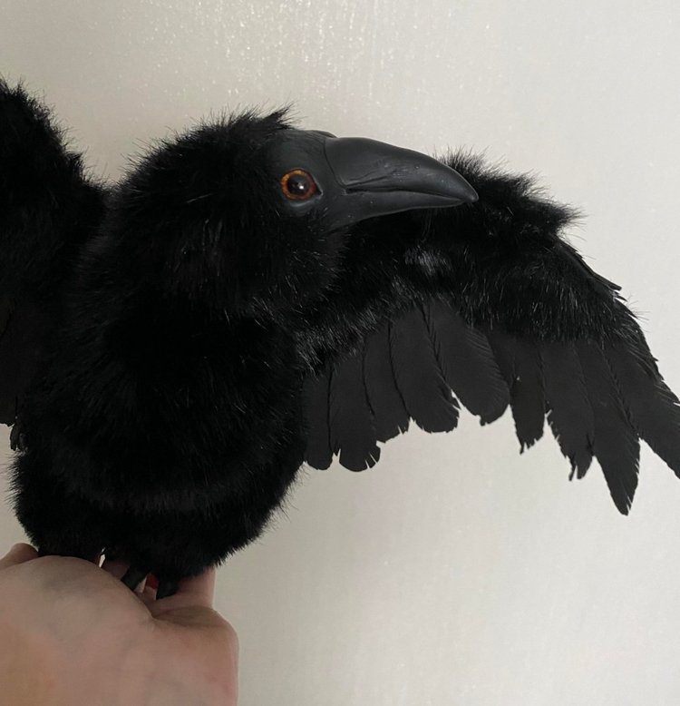 Ворон — Игрушки в смешанной технике (мех и глина): Арт