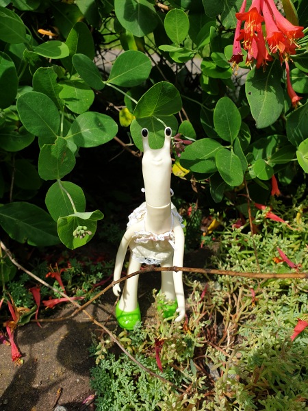 Лягушка Ванда и все-все-все