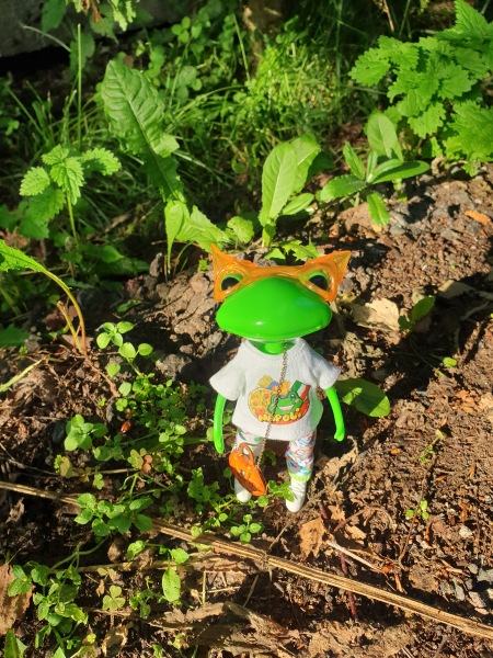 Лягушка Ванда и все-все-все