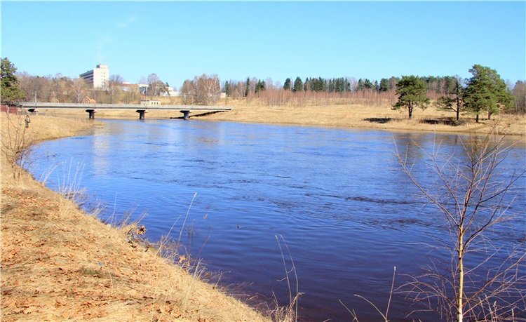 Апрельский день в Василёво, продолжение (фото 9)