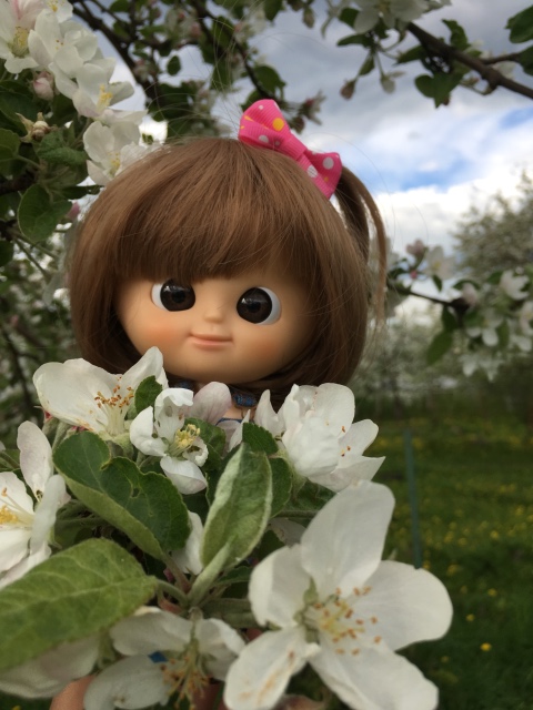 Поездка на дачу с Mui-chan, Migliorati и Sonny angel