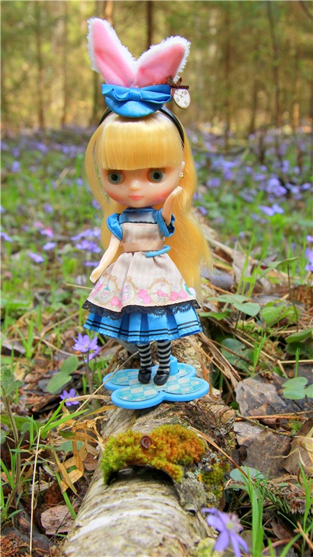 Застенчивая Алиса. Middie Blythe Doll Pebble Cakes & Shrinking Alice