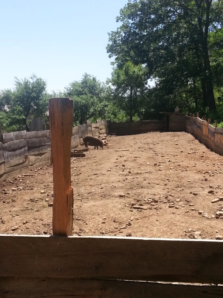 Прокатимся на машине времени? Поселение Старбридж. Новая Англия. 1830 год. Часть вторая