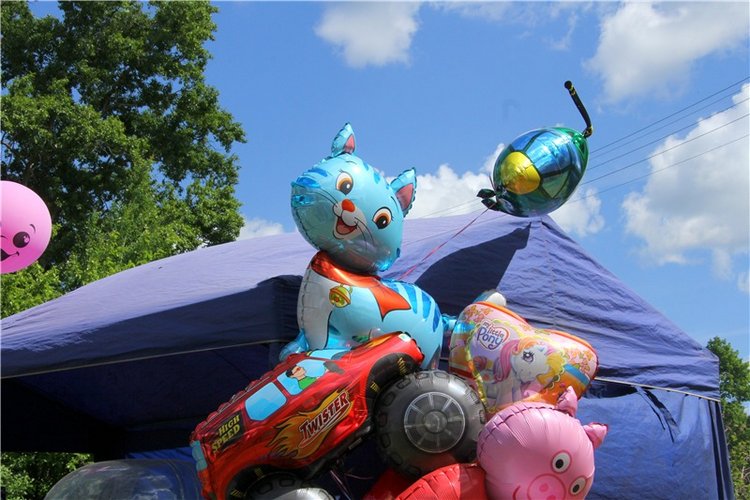 Я ехал к Вам! Пушкинский праздник в Берново, 2018 год (фото 5)