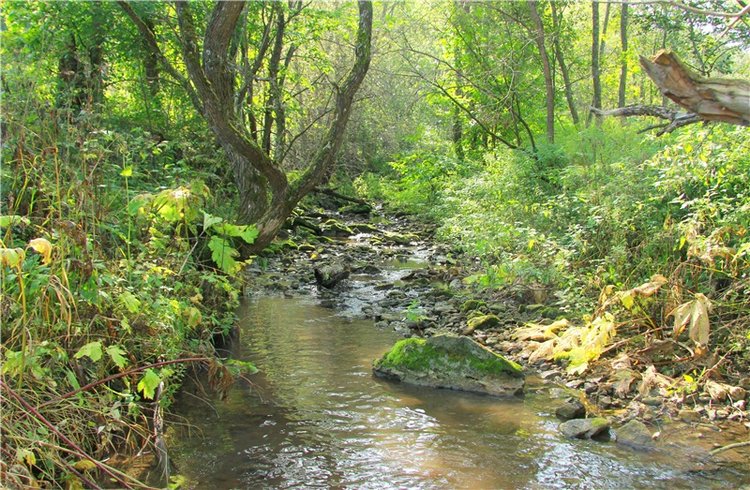 Старицкая Швейцария. Путешествие с Сашей, продолжение. Уникальная кукла от Сильвии Наттерер