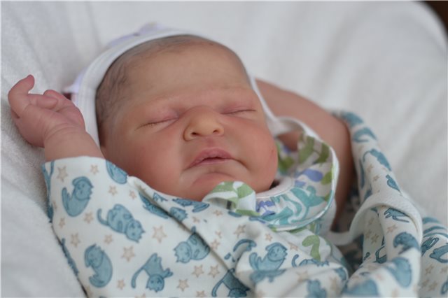 Мои новорожденные малыши. Кукла реборн | Бэйбики Мои новорожденные малыши. Кукла реборн (фото 4)