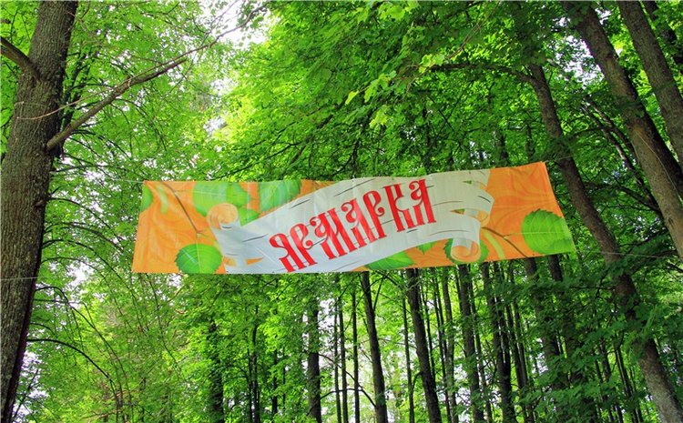 "Троицкие гуляния" в Василёво, 2018 год. Архитектурно-этнографический музей под открытым небом Василёво