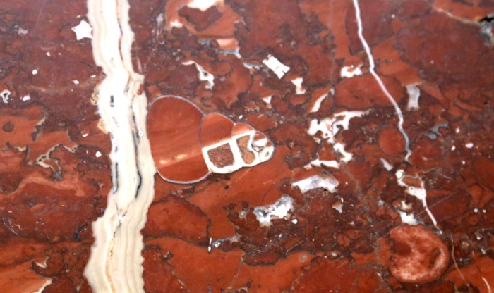 Звероящер и узоры времён динозавров в Московском метро