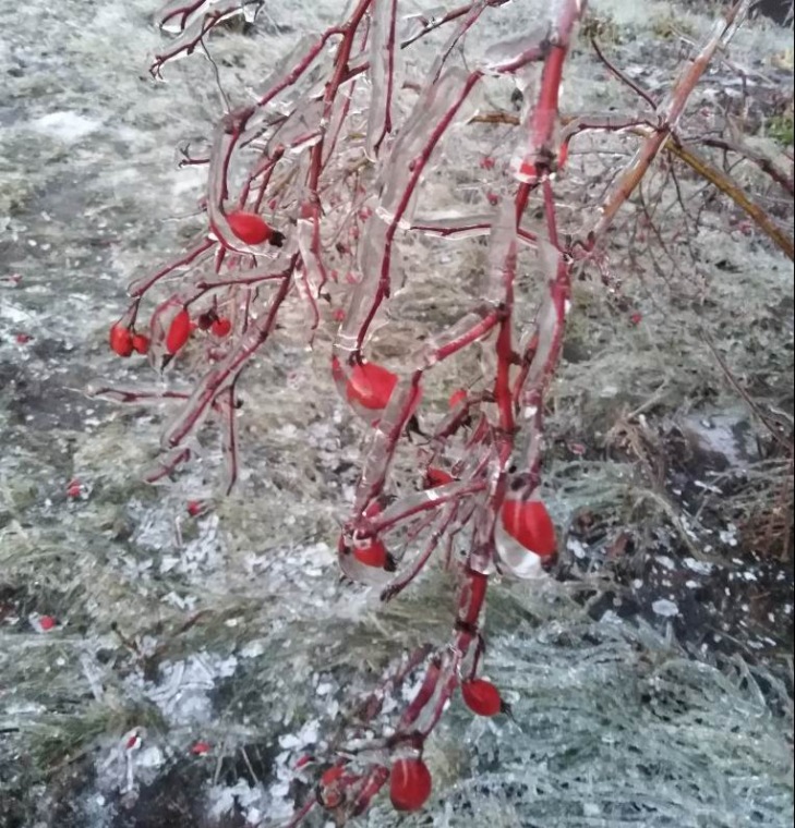 Ледяная красота на католическое Рождество в Чебоксарах, ловим солнечного зайчика... много фото | Бэйбики Ледяная красота на католическое Рождество в Чебоксарах, ловим солнечного зайчика... много фото