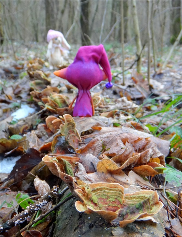 23 февраля - расцвели синие подснежники