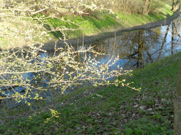 Прогулка подружек тёплым вечерком (фото 3)