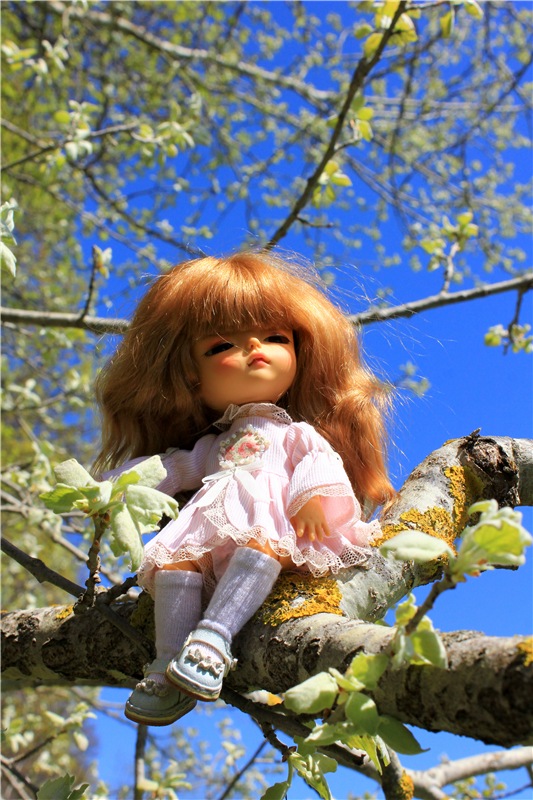 Путешествие Софи в Старицу, продолжение. Lati HoneyBee New Mystic Sophie