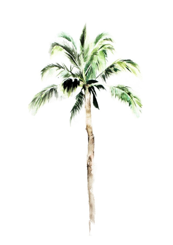 BrigitteMayArt - Иллюстрированная флора и фауна by Brigitte May