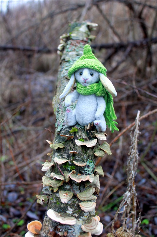 Братья Зайкины на Водопаде