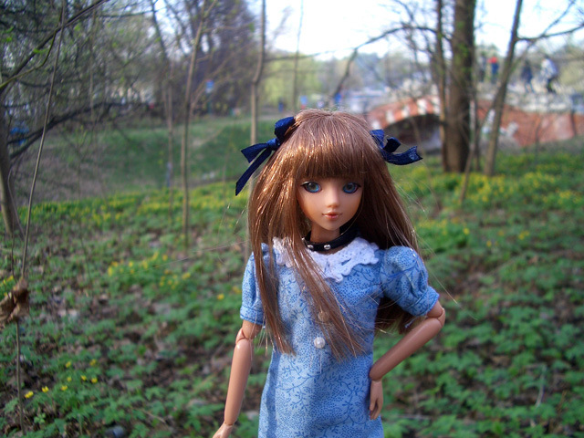 Мой J-doll-квартет — Куклы J (фото 6)