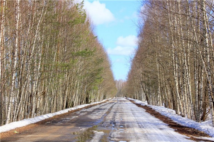Весна в "Саду Камней" — Куклы Meadow dolls (Медовушки): BJD (БЖД)