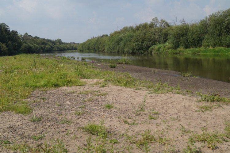 За хорошими эмоциями с семьёй на речку