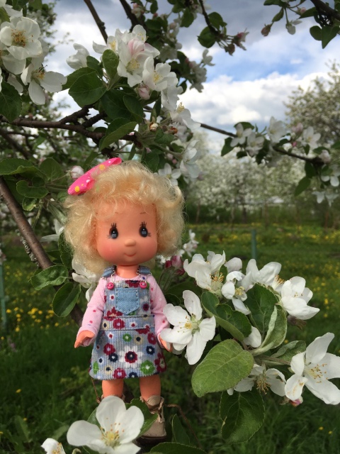 Поездка на дачу с Mui-chan, Migliorati и Sonny angel