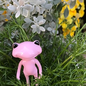 Wonder frog - Tasha Apple от компании Studio uoo (фото 2)