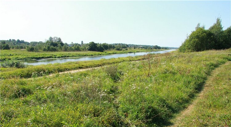 Инопланетянка Нийя. Custom Blythe Doll UFO Go Go Takara