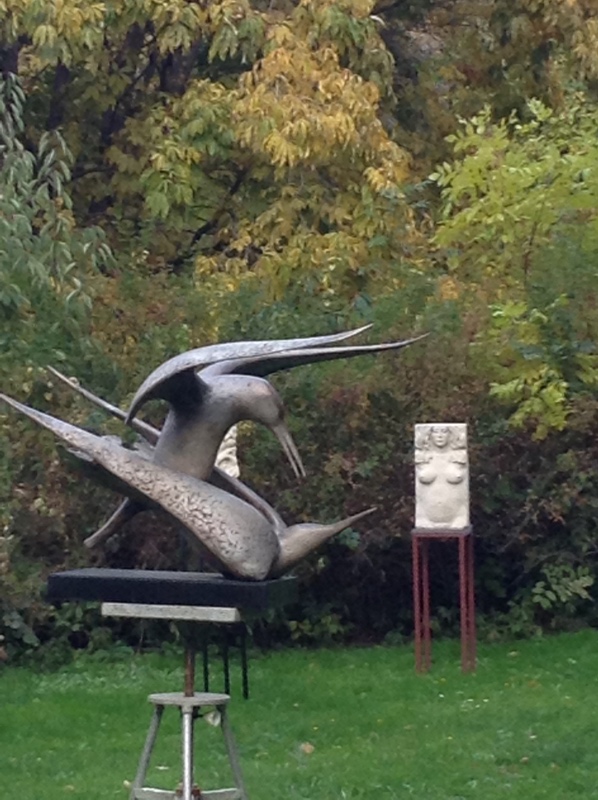 Аптекарский огород сегодня. ч.5. Грибной фестиваль