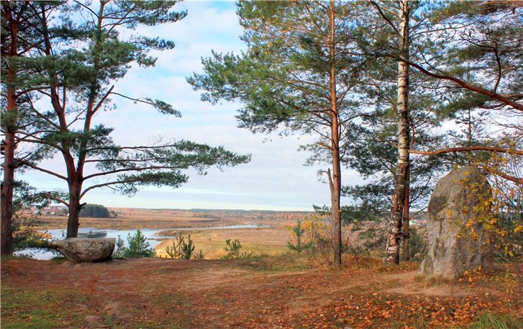 Ромашковый октябрь. Zwergnase Mischa (фото 5)