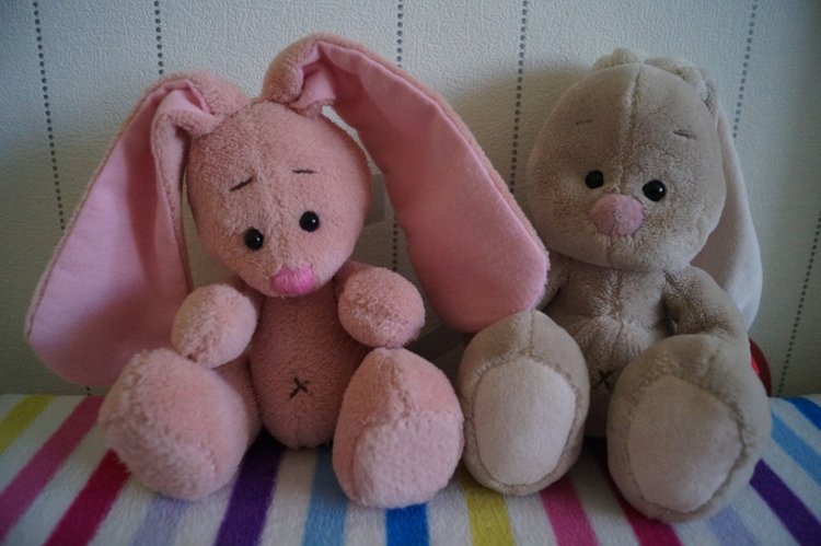 Как Агаша зайку шила — Другие хобби и увлечения: сад