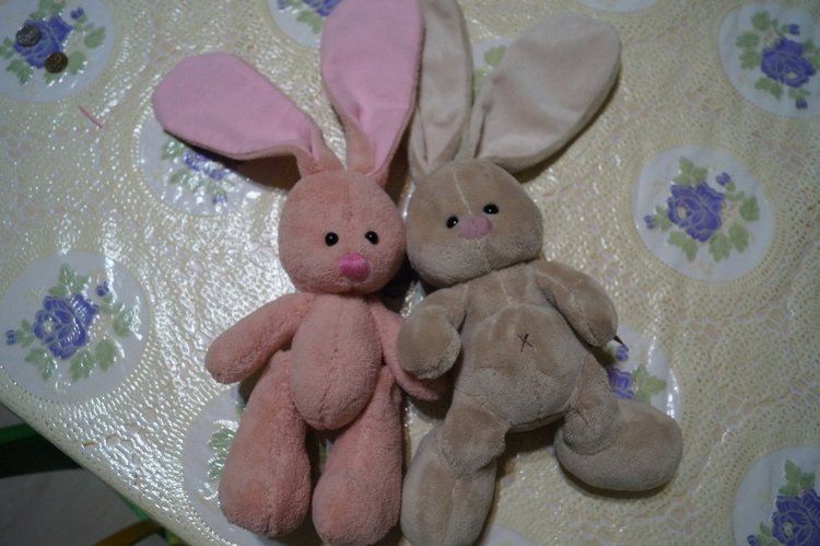 Как Агаша зайку шила — Другие хобби и увлечения: сад