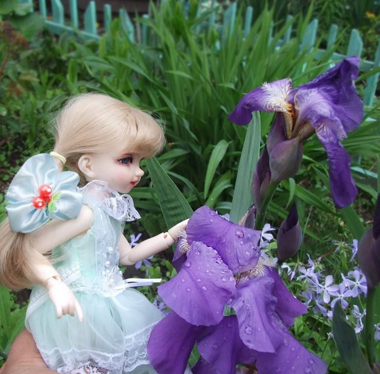 После дождичка в саду) — Красивая природа и цветы: фото пейзажей (фото 5)