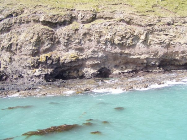 Увлекательное путешествие по Новой Зеландии