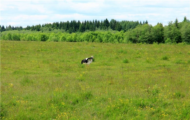 Путешествие с Бенни — Культура (фото 3)
