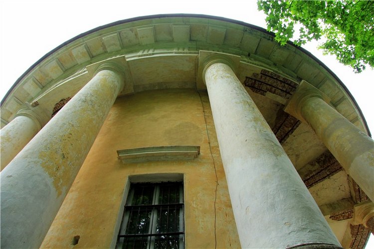 Путешествие с Бенни — Культура