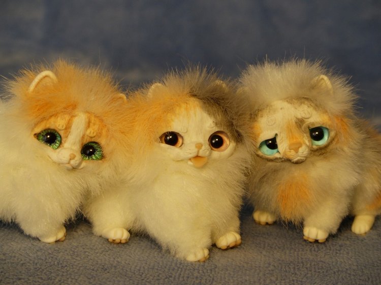 Три котенка Джейн, Пирожок и Апельсинчик (фото 2)