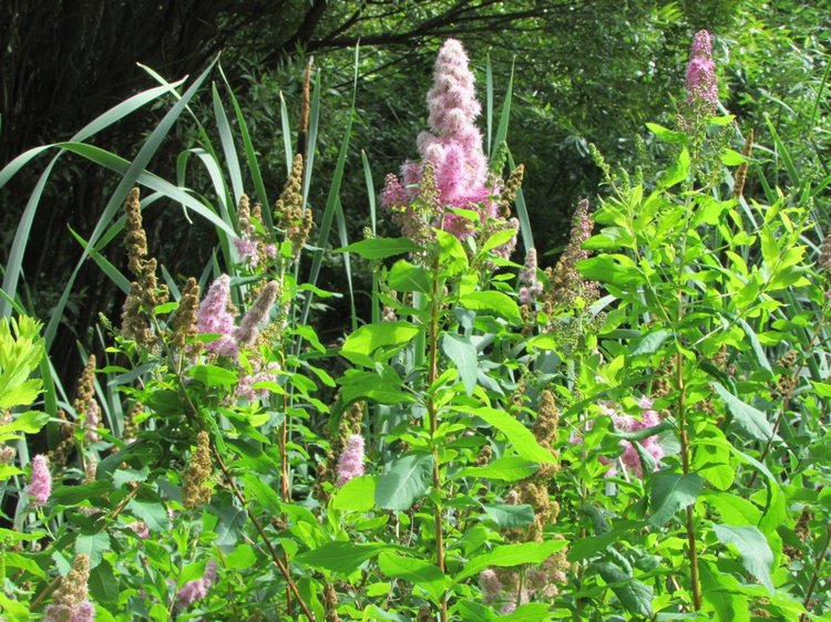 Моя кукольная семья на прогулке в Измайловском Парке