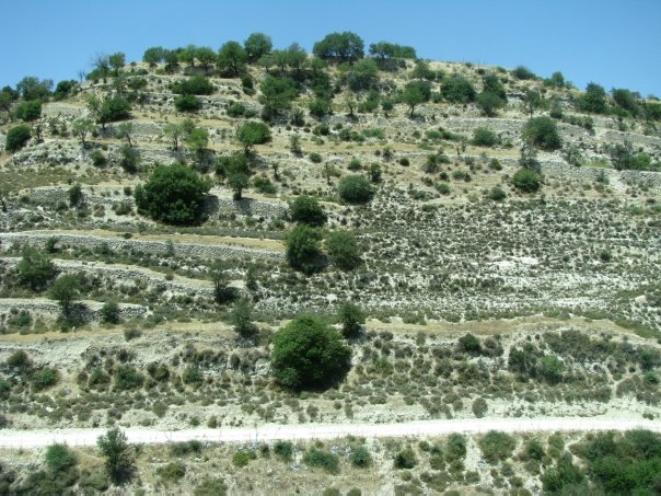 Путешествие на о. Кипр — Туризм и путешествия: фотоотчеты из поездок