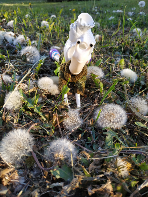 Wonderfrog. Красота в простоте