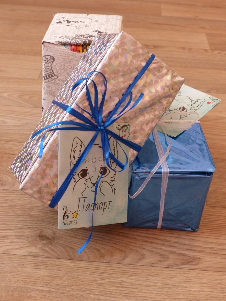 Новогодняя упаковка, провожаем в путь зверяток. Разные фотографии
