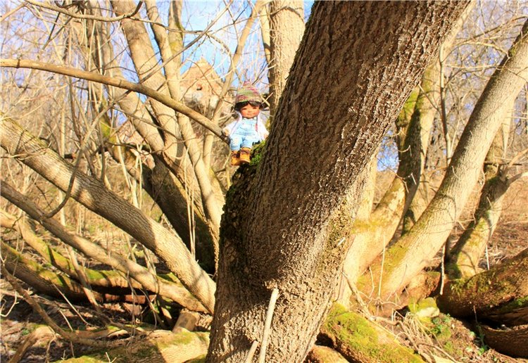 Тверской "Луксор" — Куклы Meadow dolls (Медовушки): BJD (БЖД)