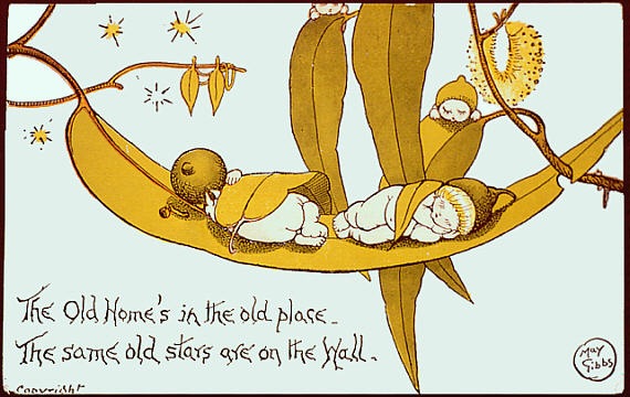 Волшебные куклы Тани Воробьевой и эвкалиптовые малыши May Gibbs (фото 3)